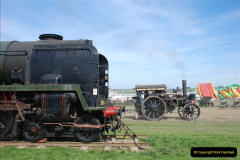 511.GDSF-2010.-511-