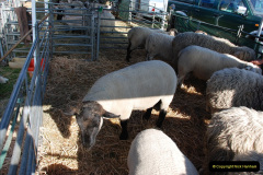 647.GDSF-2010.-647-