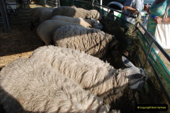 648.GDSF-2010.-648-
