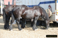 651.GDSF-2010.-651-
