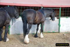 652.GDSF-2010.-652-