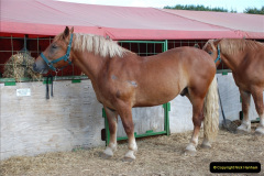 653.GDSF-2010.-653-