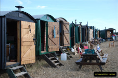 655.GDSF-2010.-655-
