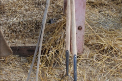 658.GDSF-2010.-658-