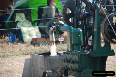 679.GDSF-2010.-679-