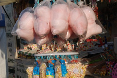 760.GDSF-2010.-760-