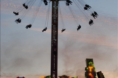 779.GDSF-2010.-779-