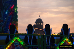 781.GDSF-2010.-781-