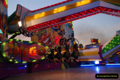 790.GDSF-2010.-790-