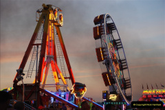 795.GDSF-2010.-795-