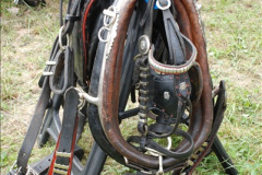 0206.GDSF-2011.-206-