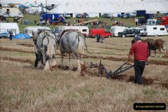 0492.GDSF-2011.-492-
