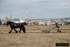 0499.GDSF-2011.-499-