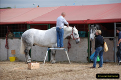 0501.GDSF-2011.-501-