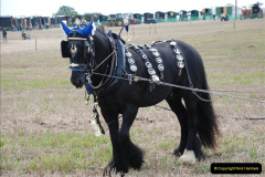 0505.GDSF-2011.-505-