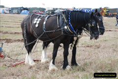 0506.GDSF-2011.-506-