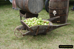 0520.GDSF-2011.-520-