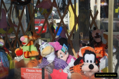 0951.GDSF-2011.-951-