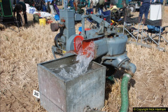 0304.GDSF-2012.-Early.-304-