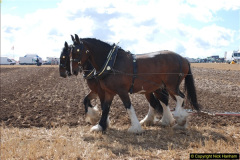 0531.GDSF-2012.-Early.-531-