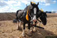 0533.GDSF-2012.-Early.-533-