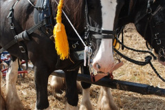 0534.GDSF-2012.-Early.-534-
