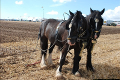 0536.GDSF-2012.-Early.-536-