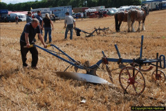 0541.GDSF-2012.-Early.-541-