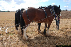 0544.GDSF-2012.-Early.-544-