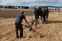 0545.GDSF-2012.-Early.-545-