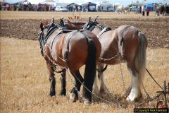 0547.GDSF-2012.-Early.-547-