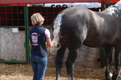 0562.GDSF-2012.-Early.-562-