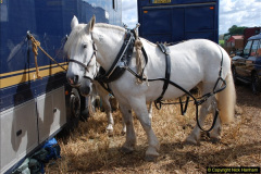 0565.GDSF-2012.-Early.-565-