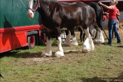 0567.GDSF-2012.-Early.-567-