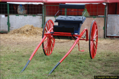 0570.GDSF-2012.-Early.-570-