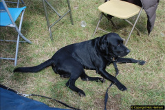 0578.GDSF-2012.-Early.-578-