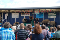 0584.GDSF-2012.-Early.-584-