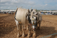 187.GDSF-2012.-Late.-187-