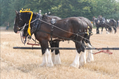 391.GDSF-2013.-Early.-391-