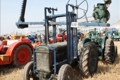 570.GDSF-2013.-Early.-570-