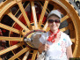 GDSF 2013 Late