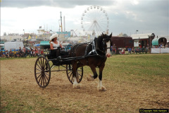 199.GDSF-2013.-Late.-199-