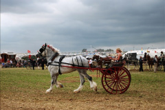 200.GDSF-2013.-Late.-200-