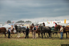 201.GDSF-2013.-Late.-201-