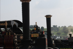 2013-08-28 The Great Dorset Steam Fair 1 (745)745