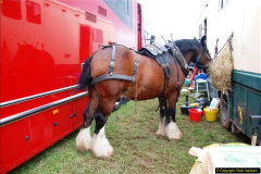 430.GDSF-2014.-Early.-430-