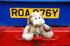 586.GDSF-2014.-Early.-586-