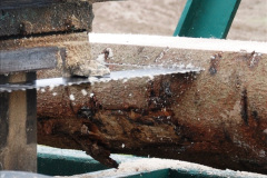 735.GDSF-2014.-Early.-735-