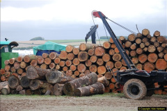 736.GDSF-2014.-Early.-736-