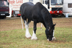 186.GDSF-2014.-Late.-186-